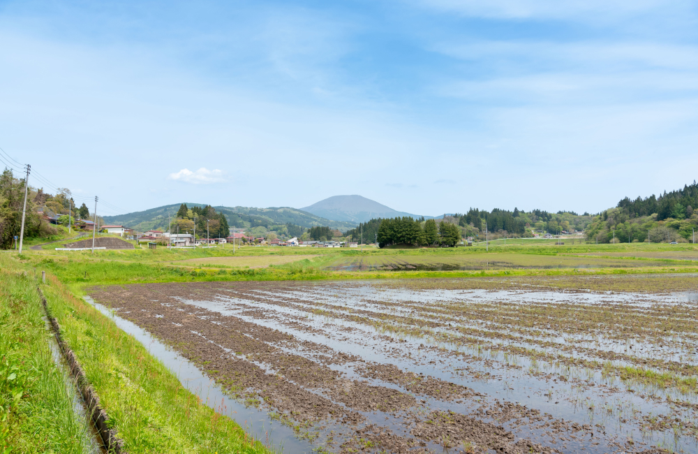 地域のために立ち上がった農場