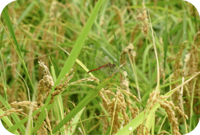 slider_img6